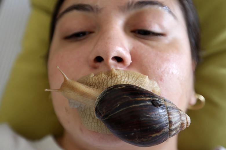 Alia Fares, 27, undergoes facial massage with Giant African land snails, which some claim boost collagen in the skin, at a center in Amman, Jordan. REUTERS/Muhammad Hamed    